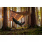 Tents Traveller Tarp Forest R020106 AMAZONAS