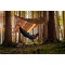„Amazon Traveler Tarp“ Forest medžiaginis stogelis hamakui