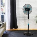 P&otilde;randaventilaator 40 cm 40 W 3 kiirust v&otilde;nkumine EnergySilence 510 Must 5901 Cecotec