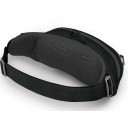 Jostas soma Daylite Waist, Blue Spikemoss/Alkaline, 0843820184365 Osprey