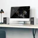 Laudberg XS1W grāmatu plaukta skaļruņi, 80 W, 4 collu zemfrekvences, 1 collu augstfrekvences, Bluetooth 5.3, 255 x 175 x 150 mm