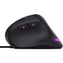 Trust GXT 144 Rexx Mudel 22991, 10000 DPI, 6 nuppu, RGB valgustus, ergonoomiline disain