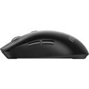 Msi FORGE K210 W COMBO US, 2x, 1600DPI, 120h akumuliatoriaus veikimo laikas, 30h pelė, 6 mygtukai, USB