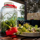 8L klaaspurk plastkaanega BROWIN 600180 19.8x19.8x34.8 cm 8.0 L