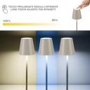Beper Galda lampa P207ILI205, 3W, 1xLED, pelēka, regulējama gaismas temperatūra, aptum&scaron;o&scaron;ana, galda virsma