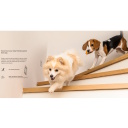 Ezviz E6 CS-E6 Iek&scaron;telpu Panorāmas 5MP 2K Viedā Wi-Fi / LAN 360 Kamera MicroSD / Nakts Redzamība Pelēka