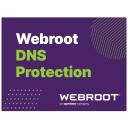 Webroot DNS Aizsardzība ar GSM Konsoli 152300002B, 2 gadi, 10-99 lietotāji, abonē&scaron;anas licence