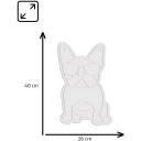 Manta LED valguslint SNL66WH, 5W, 5V, 26cm, 40cm, USB, pleksiklaas, koer, 2m kaabel