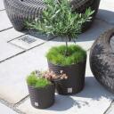 Prosperplast Gėlių vazonas Rato 7899978, 250mm, 220mm, 7.5L, apvalus, rudas, plastikas