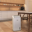 Gaisa sausinātājs AD30 Hybrid 01794 Wood‘s