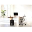 Fellowes Mikro-l&otilde;ikuri H&auml;vitaja LX200 5502201, 2 m/min, must, 4 x 12 mm, 22 l, T-4, P-4, vaikne t&ouml;&ouml;
