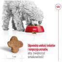 Royal Canin Mini Pieaugu&scaron;ajiem 8+ IMPORT-4989, 800 g, 27%, 16%, 6.3%, 1.5%, vistas gar&scaron;a, bez sojas, bez konservantiem