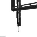 Neomounts настенный крепеж WL30-550BL14 для телевизоров 40-75" до 50 кг, VESA 100x100-400x400 мм, глубина 2,3 см, черный