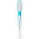 Philips Hambaharja pead HX6042/90 2 tk, Pehmed harjased, Sinine/Valge, 3 kuu vahetusperiood, 2-aastane garantii