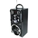 Media-Tech Караоке колонка MT3150, MT3150, 18W RMS, 800W PMPO, 4,5" низкочастотный, 3,8" среднечастотный, 4ч аккумулятор