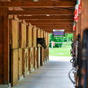 Vabzdžių gaudyklė UVA lempa, SOENS, 730214, 40W, sidabrinė