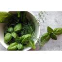 Rainpoint Hidroponikas audzē&scaron;anas komplekts Z238 (koka pamatne), 5L, 150&plusmn;10% L/h, 12V, 1.8kg, 13 stādī&scaron;anas grozi