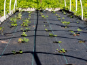 Agroplēve WEED MAT 1.6 X 10 WEIGHT 90G/M2 91047 FLO