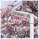 Emos LED t&auml;navavalgusti SOLIS 30W ZO0304, 3600 lm, 220&ndash;240 V, IP65, 30 000 tundi, 120 lm/W, alumiinium