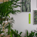 Universaalne termomeeter BIOTERM 014705, -30°C kuni +50°C, 17cm, roheline