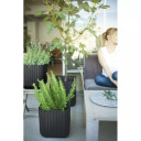 Lillepott Cube Planter L hall KETER 29201220939 39x39x39cm