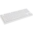 Genesis THOR 404 TKL klaviatūra NKG-2070, Gateron Yellow Pro, USB-A, RGB, balta, mehāniskā, 1ms atbilde