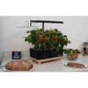 Rainpoint Hidroponikas audzē&scaron;anas komplekts Z238 (koka pamatne), 5L, 150&plusmn;10% L/h, 12V, 1.8kg, 13 stādī&scaron;anas grozi