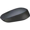 Logitech USB optiline hiir M170 KOOD 910-004642, 1000 DPI, 2 nuppu, 10m traadita ulatus, AA aku