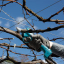 Аккумуляторные секаторы 18В, Li-ion, макс.(ø25/ø18), DUP180Z MAKITA