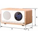 Manta Žadintuvas RDI912W, 0.7kg, 93mm, 169mm, 100mm, 10W, Bluetooth 5.1, FM radijas, 10h baterijos veikimo laikas