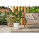 Lamela Lillepott Mira 9749133, &Oslash; 19 cm, k&otilde;rgus 23 cm, plastmass, valge, 2.4L, siseruumide taimed