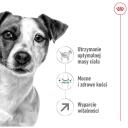 Royal Canin Mini Pieaugu&scaron;ajiem 8+ IMPORT-4989, 800 g, 27%, 16%, 6.3%, 1.5%, vistas gar&scaron;a, bez sojas, bez konservantiem