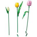 Lego BOTANICALS 11501 Tulpju pu&scaron;ķis, 576 elementu, 360mm, 382mm, 262mm, 790g, instrukcijas iekļautas