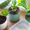 Perlite for potted plants and gardening, 2 L BIOOGROD 749911