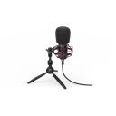 Endorfy Solum Streaming T Black PC mikrofon EY1B003, 24 bit, 48 kHz, 1.8 m, USB, statiiv, k&otilde;rvaklappide v&auml;ljund