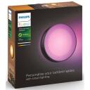 Philips Hue Āra sienas lampa Daylo 8718696174401, 15 W, 2000-6500 K, LED, IP44, 1060 lm
