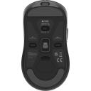 Fury Datorpele Tanto T4 NFU-2203, 2.4 GHz, Bluetooth, USB, 200-12000 DPI, 7 pogas, 53g, Huano slēdži, PTFE slīdņi