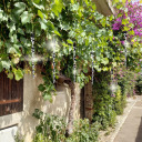 Bird scarer - reflective spirals in silver, 6 pieces BIOOGROD 731025, 2x2.3x30 cm, 10 g