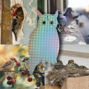 Putnu atbaidīšanas piekariņš - pūce ar zvaniņiem BIOOGROD 731026, 20x2.5x40 cm, 54 g