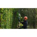 Bosch Akutoitega hekkide l&otilde;ikurid GHE 18V-50 TP 06008D5000, 18V, 50cm, 3400p/min, 92dB, 4.5kg