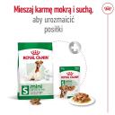Royal Canin Mini Pieaugu&scaron;ajiem 8+ IMPORT-4989, 800 g, 27%, 16%, 6.3%, 1.5%, vistas gar&scaron;a, bez sojas, bez konservantiem