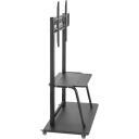 Sbox Fiksēts grīdas LCD/LED TV FS-1035, 150kg, 37-100 collas, 200x200-800x600, melna, tērauds