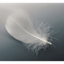 Lietussargs 'Swing Liteflex', izturīgs, viegls, 100 cm Ø, R130605, EUROSCHIRM