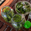 4 L klaaspurk plastkaanega &Oslash;100 k&auml;epidemega BROWIN 133405, 4 L, 16x16x29 cm