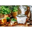 Adler Riisi keetja AD 6418, 0,6 L, 300 W, 2 funktsiooni, eemaldatav kauss, automaatne soojapidamine, klaasist kaas