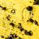 Piezīmju grāmatiņa , visiem laikapstākļiem, ūdensizturīga, 15,5x10,5 cm, R558101, RITE IN THE RAIN