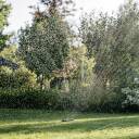 Komforta zāliena laistītājs 325 m&sup2;, FISKARS, 1070833, regulējams, metāla pamatne, universāls savienotājs