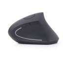 Gembird USB optinė belaidė pelė MUSW-ERGO-01, 1600 DPI, 6 mygtukai, RF belaidis, ergonomi&scaron;kas dizainas, AA baterija