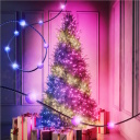 Ziemassvētku eglītei un dekoram viedā LED gaismas virtene Candies pērlītes 100 RGB diodes 6 m 7 W zaļš vads USB-C TWKP100RGB-G Twinkly