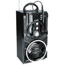 Media-Tech Караоке колонка MT3150, MT3150, 18W RMS, 800W PMPO, 4,5" низкочастотный, 3,8" среднечастотный, 4ч аккумулятор